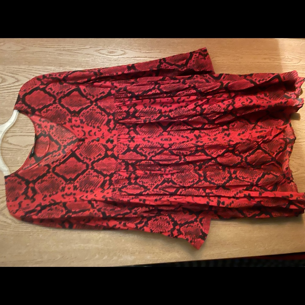 Zara dress-small